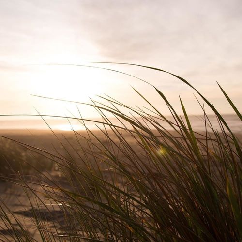 Tableau Coucher De Soleil 2 60 X 40 Cm Beige