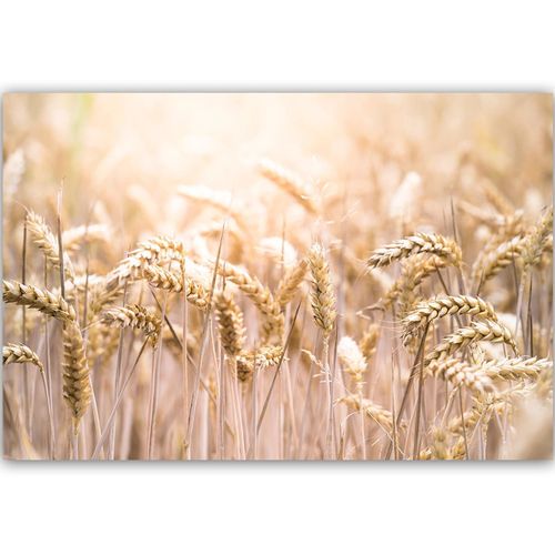 Tableau Bois Grain Au Soleil 120 X 80 Cm Beige