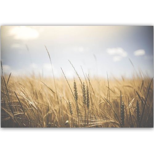 Tableau Maïs Au Soleil 3 120 X 80 Cm Beige