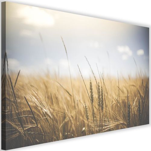 Tableau Maïs Au Soleil 3 120 X 80 Cm Beige