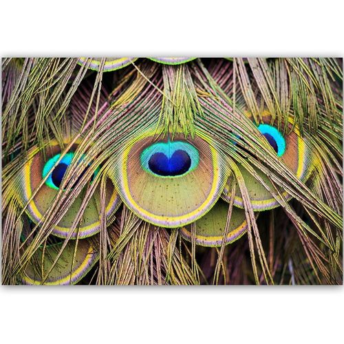 Tableau Plumes De Paon Bois 120 X 80 Cm Vert