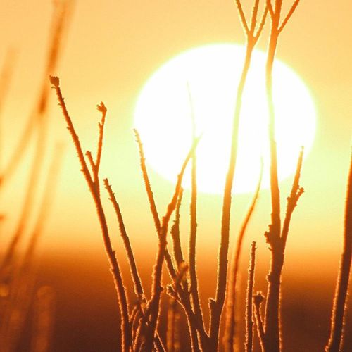 Tableau Bois Coucher De Soleil 2 120 X 80 Cm Orange