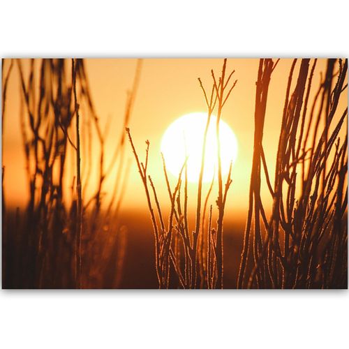 Tableau Bois Coucher De Soleil 2 120 X 80 Cm Orange