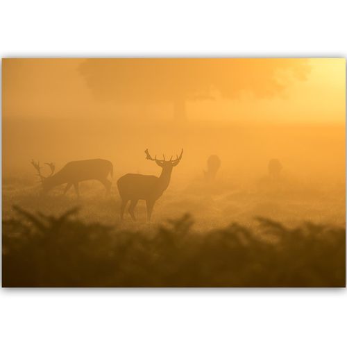 Tableau Bois Troupeau De Cerfs à L'aube 120 X 80 Cm Orange