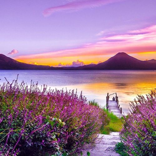 Tableau Bois Violet Paradis 90 X 60 Cm Violet