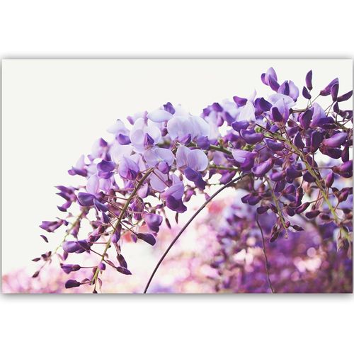 Tableau Bois Lilas Fleurs Glycine 120 X 80 Cm Violet