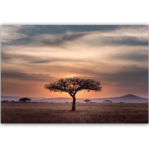 Tableau Bois Arbre Savane 120 X 80 Cm Orange