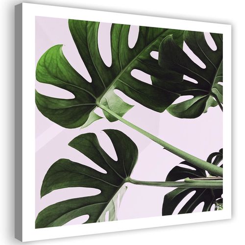 Tableau Feuilles Exotiques Monstera 1 90 X 90 Cm Vert