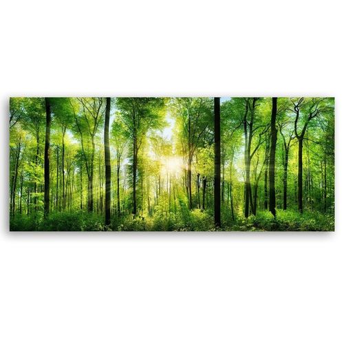 Tableau Ensoleillement 120 X 40 Cm Vert