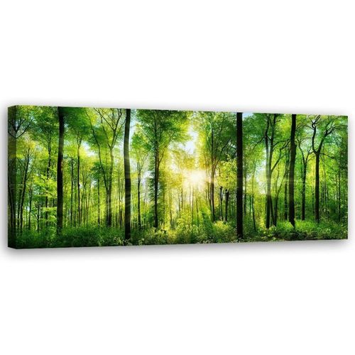 Tableau Ensoleillement 120 X 40 Cm Vert