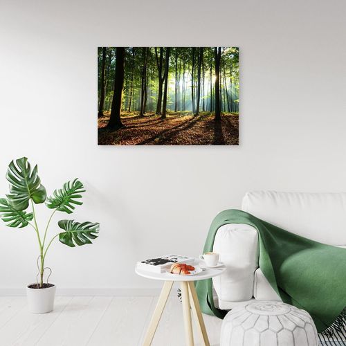 Tableau Bois Arbres Dans La Forêt 60 X 40 Cm Vert