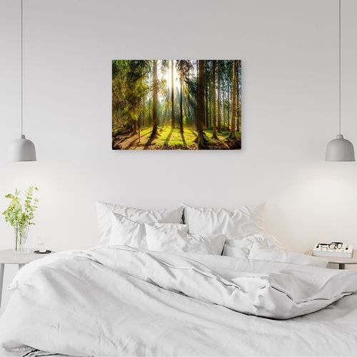 Tableau Bois Rayons Du Soleil Dans La Forêt 60 X 40 Cm Vert