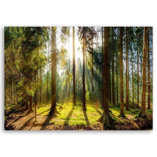 Tableau Bois Rayons Du Soleil Dans La Forêt 60 X 40 Cm Vert