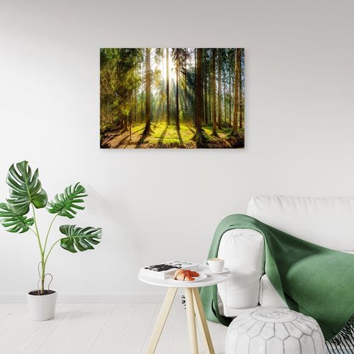 Tableau Bois Rayons Du Soleil Dans La Forêt 60 X 40 Cm Vert