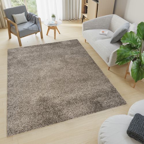 Tapis Salon Gris Foncé Uni Moelleux Poil Long Shaggy 300 X 400 Cm