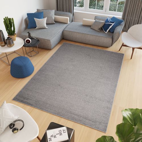 Tapis Séjour Bureau Gris Unicolore Fin Tufté Feutre 80 X 150 Cm