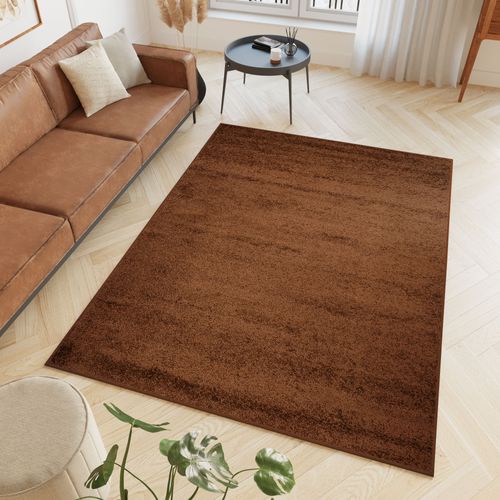 Tapis Séjour Marron Unicolore Moelleux Epais 140x200