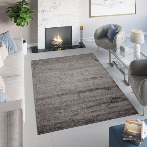 Tapis Séjour Gris Foncé Unicolore Moelleux Epais 120x170