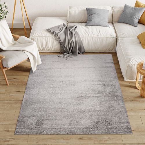 Tapis Salon Chambre Gris Unicolore Shaggy Poils Longs 80x150 Evra