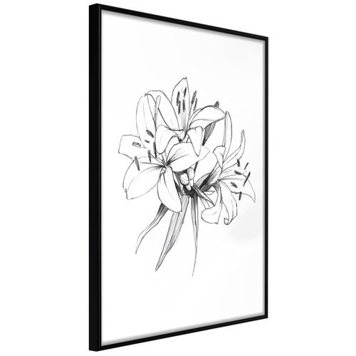 Affiche Murale Encadrée "sketch Of Lillies" 40 X 60 Cm Noir
