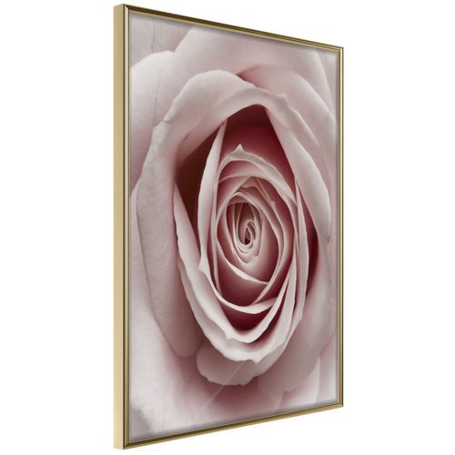 Affiche Murale Encadrée "rosebud" 40 X 60 Cm Doré