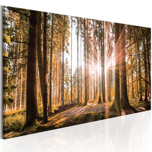 Tableau Small Natural Wonders 120x40 Cm