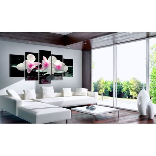Tableau Fleurs Rest Of Orchids 200x100 Cm