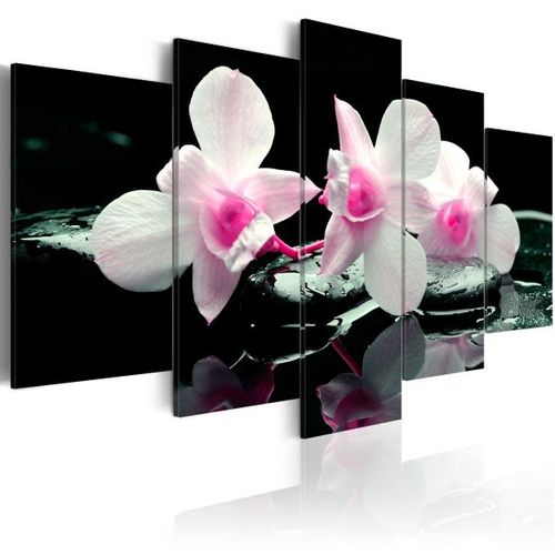 Tableau Fleurs Rest Of Orchids 200x100 Cm