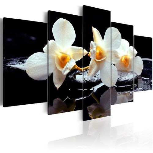 Tableau Fleurs Orchidée Avec Un Accent Orange 200x100 Cm