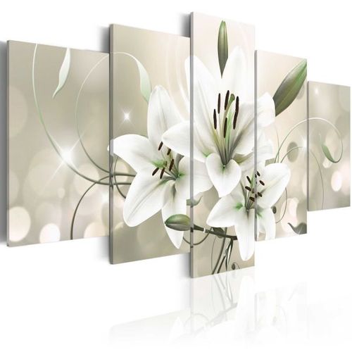 Tableau Beauté Délicate 200x100 Cm