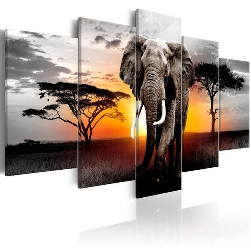 Tableau Elephant At Sunset 200x100 Cm