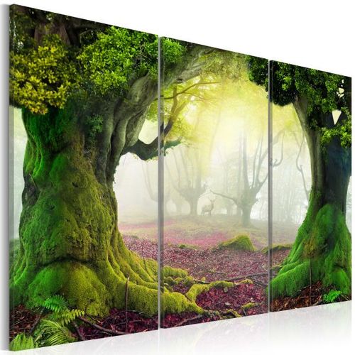 Tableau Mysterious Forest - Triptych 90x60 Cm