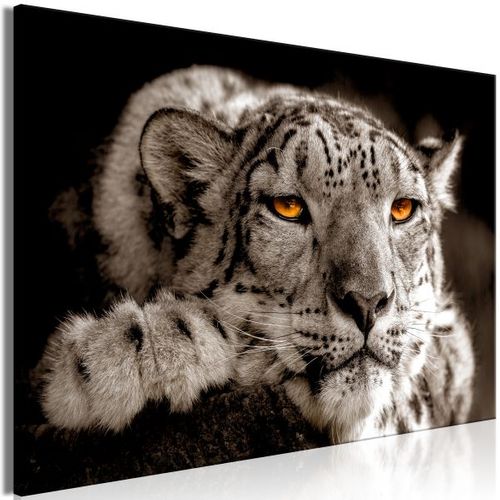 Tableau Magic Eyes 1 Pièce Wide 120x80 Cm