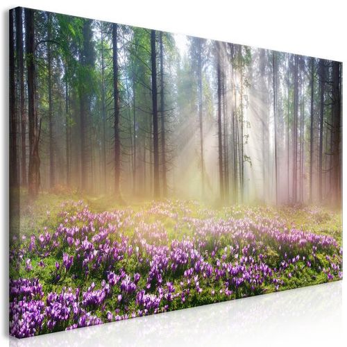 Tableau Purple Meadow (1 Part) Wide 120x60 Cm