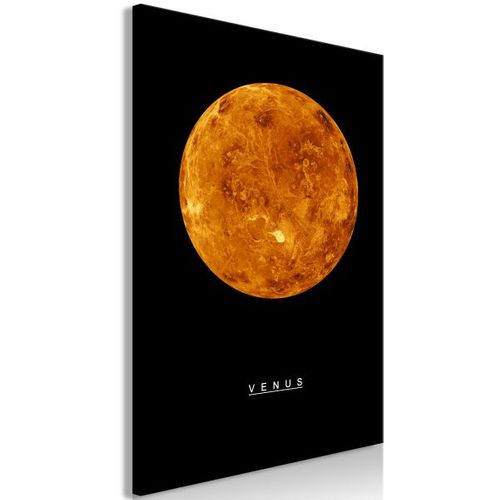 Tableau Venus (1 Part) Vertical 40x60 Cm