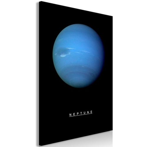 Tableau Neptune (1 Part) Vertical 60x90 Cm