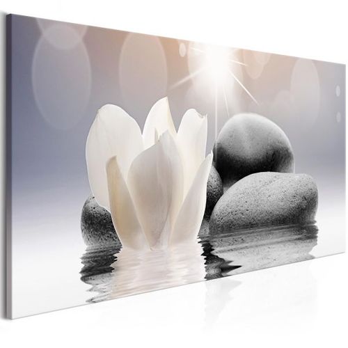 Tableau Zen Pebbles In Water (1 Part) Narrow 120x40 Cm