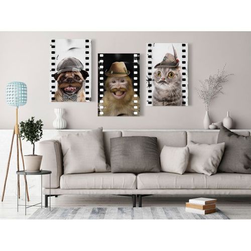 Tableau Funny Pets Collection 60x30 Cm