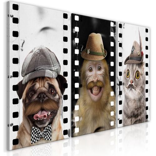 Tableau Funny Pets Collection 60x30 Cm