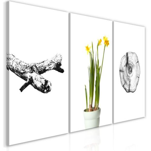 Tableau Fleurs Nature (collection) 60x30 Cm