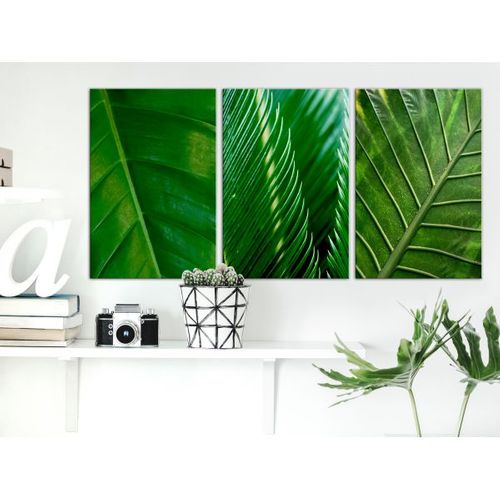 Tableau Leaves (collection) 60x30 Cm