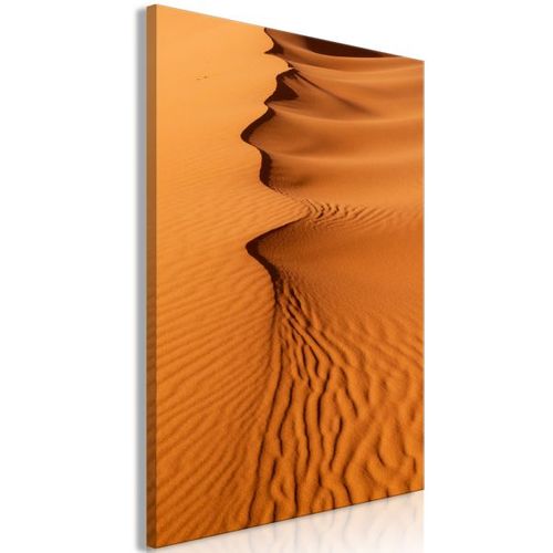 Tableau Sandy Shapes (1 Part) Vertical 80x120 Cm