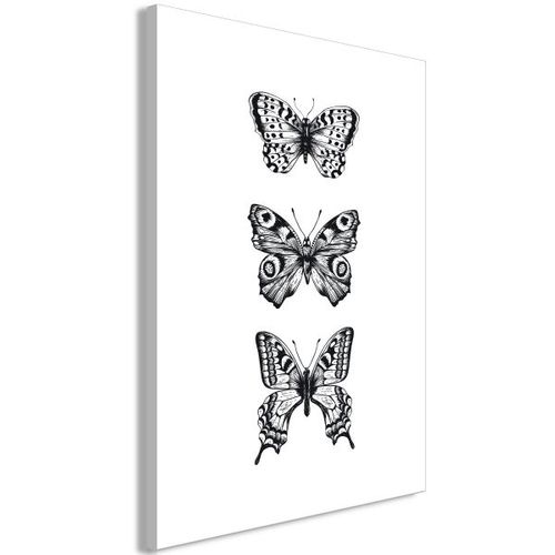 Tableau Three Butterflies 1 Pièce Vertical 40x60 Cm
