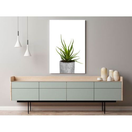 Tableau Fleurs Haworthia (1 Part) Vertical 40x60 Cm