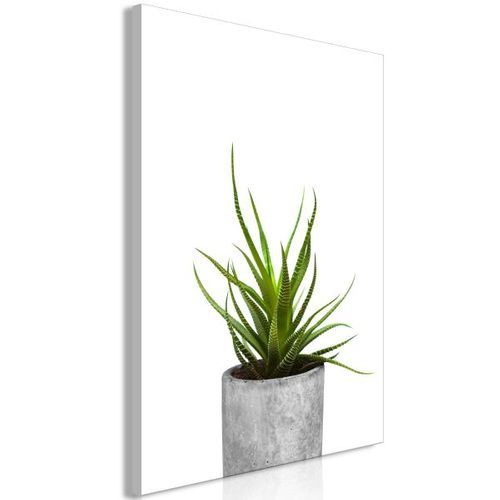 Tableau Fleurs Haworthia (1 Part) Vertical 40x60 Cm
