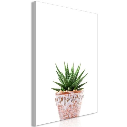 Tableau Fleurs Succulents In Pot (1 Part) Vertical 40x60 Cm