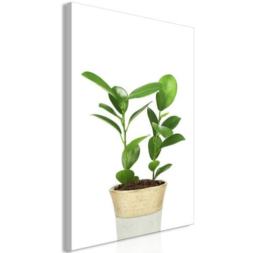 Tableau Fleurs Plant In Pot (1 Part) Vertical 80x120 Cm