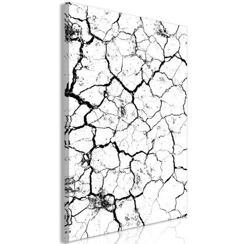 Tableau Cracked Earth (1 Part) Vertical 40x60 Cm