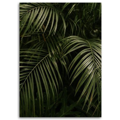 Tableau Bois Feuilles De Palmier Graphiques 40 X 60 Cm Vert
