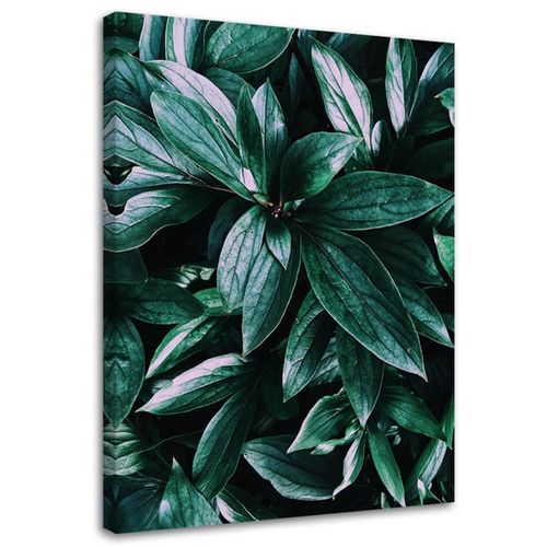 Tableau Feuilles De Plantes Tropicales 40 X 60 Cm Vert